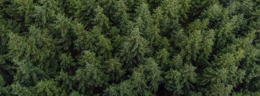 Pärnu Veokoerad esitlevad: 20 aastat rajal